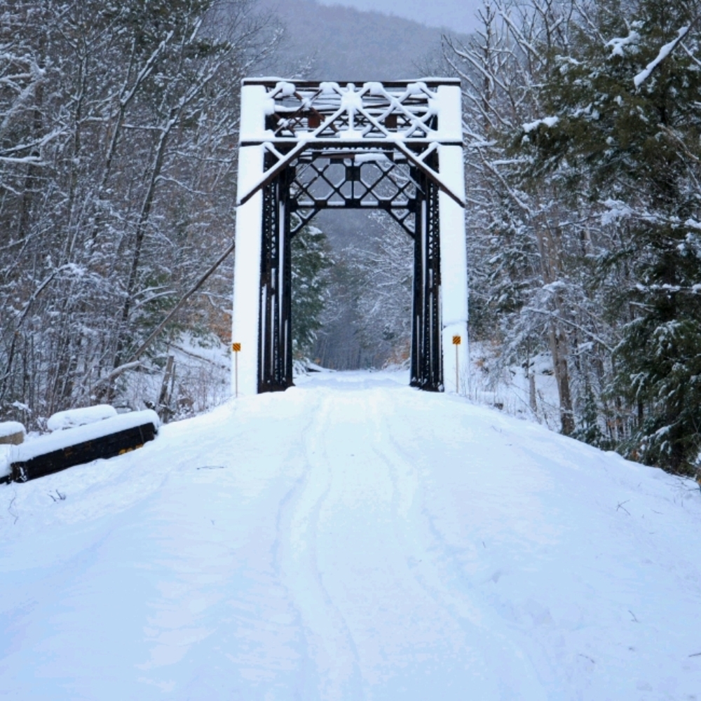 "Winter pathways"